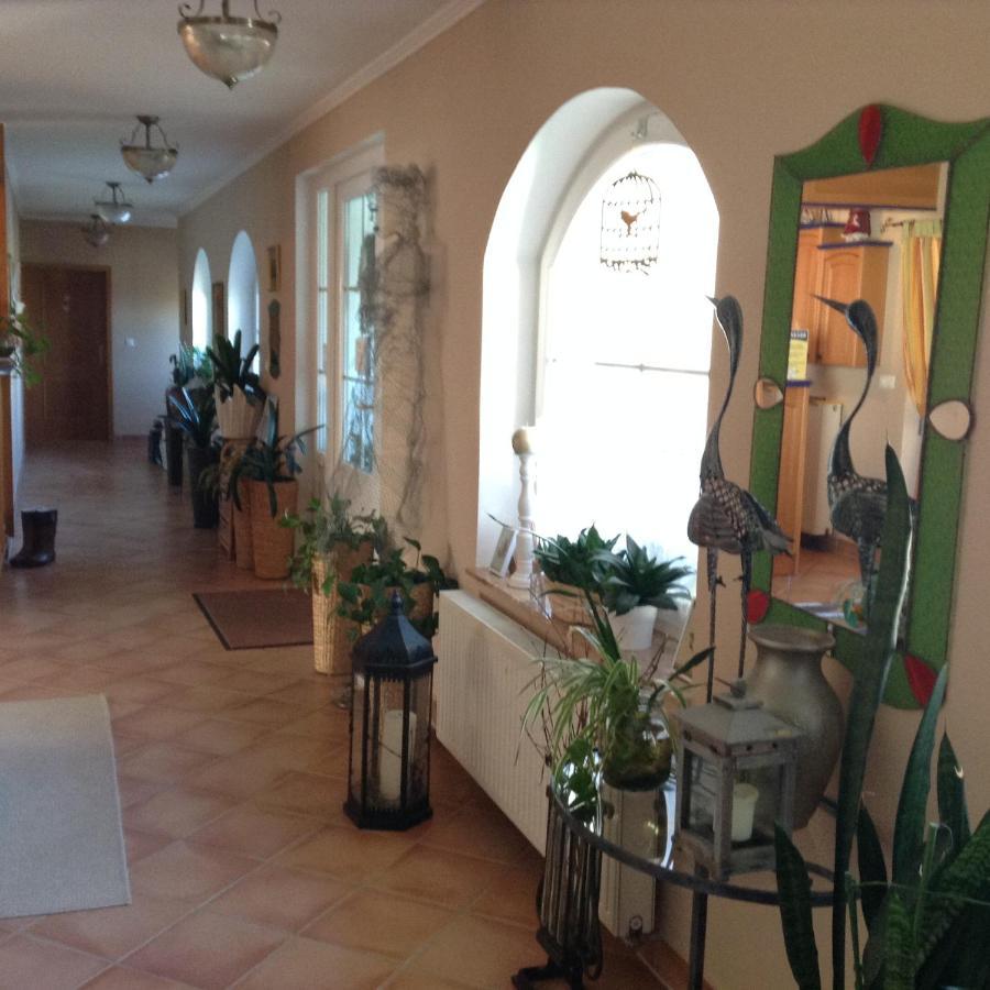 Hotel Zsida Szentgotthárd المظهر الخارجي الصورة